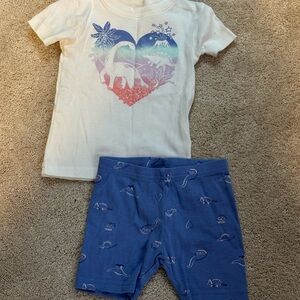 Kids Dinosaur T-Shirt and Shorts PJ set